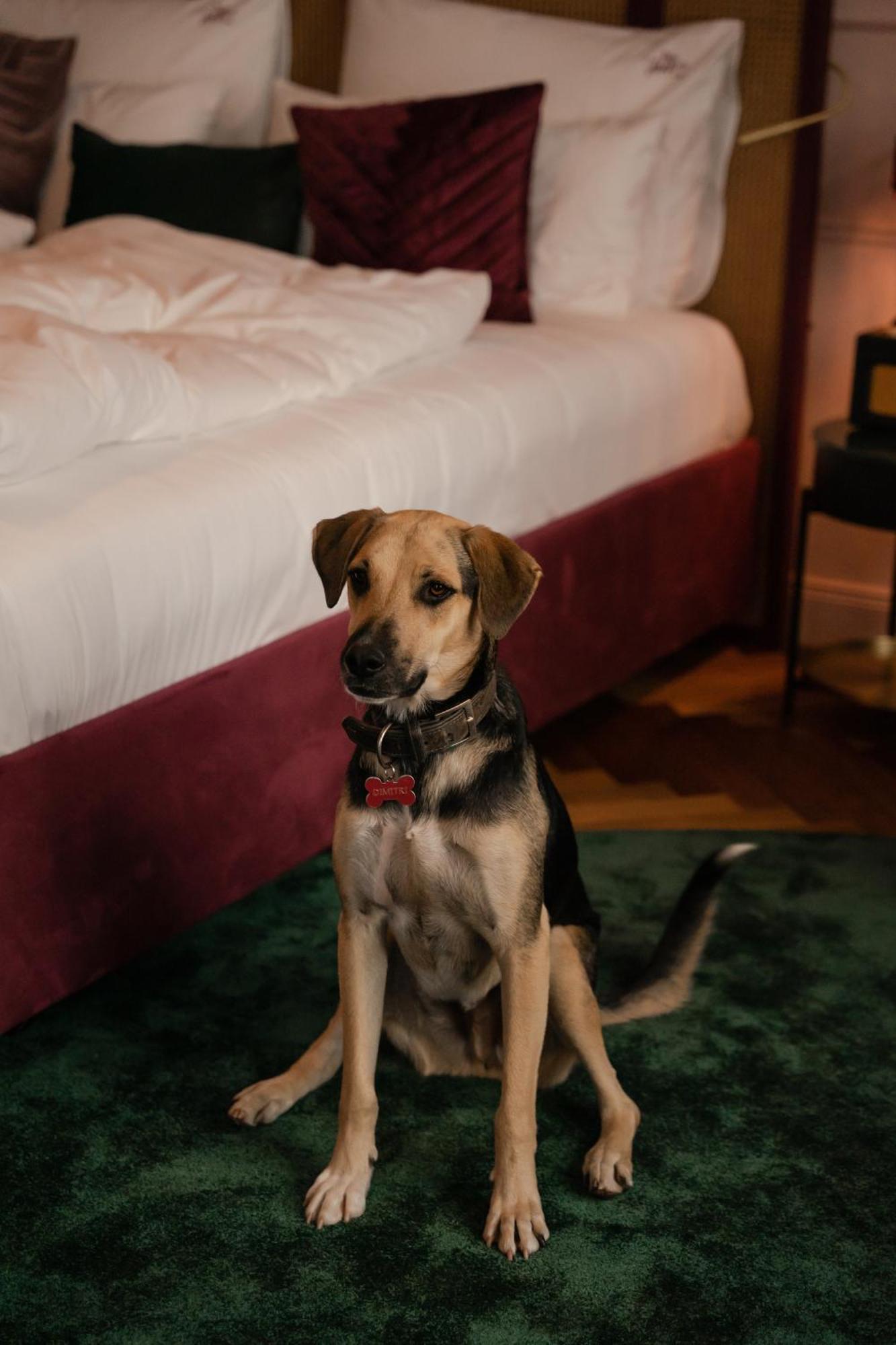 Hotel Josefine Wien Ngoại thất bức ảnh